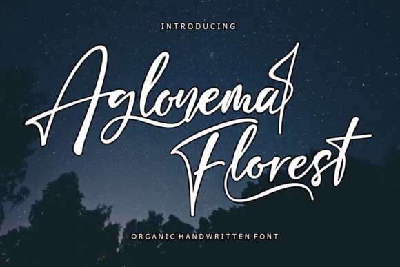 Aglonema Florest: A Script Font for Editorial Elegance