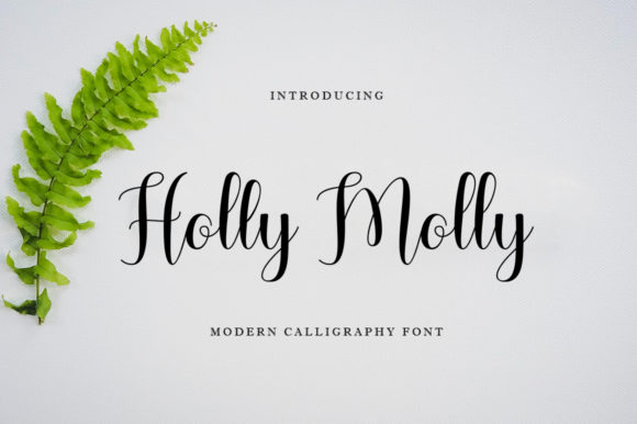 Holly Molly: A Font for Elegant Storytelling